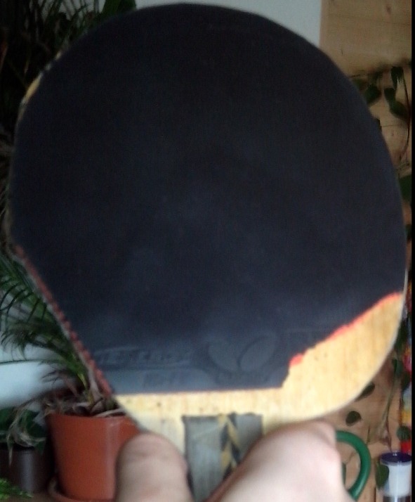 Regelecke F37 Belag